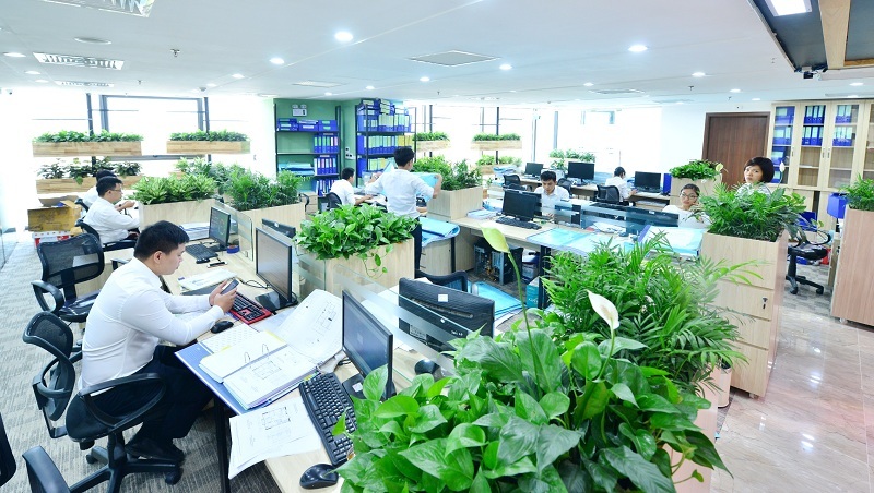 mẫu thiết kế văn phòng xanh