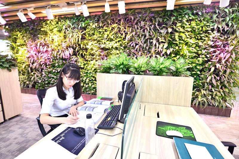 Không gian văn phòng xanh tạo cảm hứng cho nhân viên làm việc